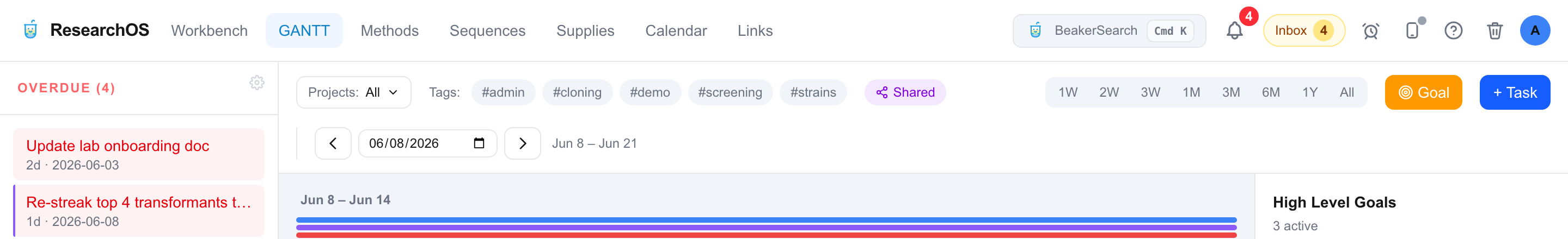 The Gantt toolbar showing the zoom segmented control with eight buttons (1W, 2W, 3W, 1M, 3M, 6M, 1Y, All) and the week navigator with back/forward arrows, a date picker, and a Today link.