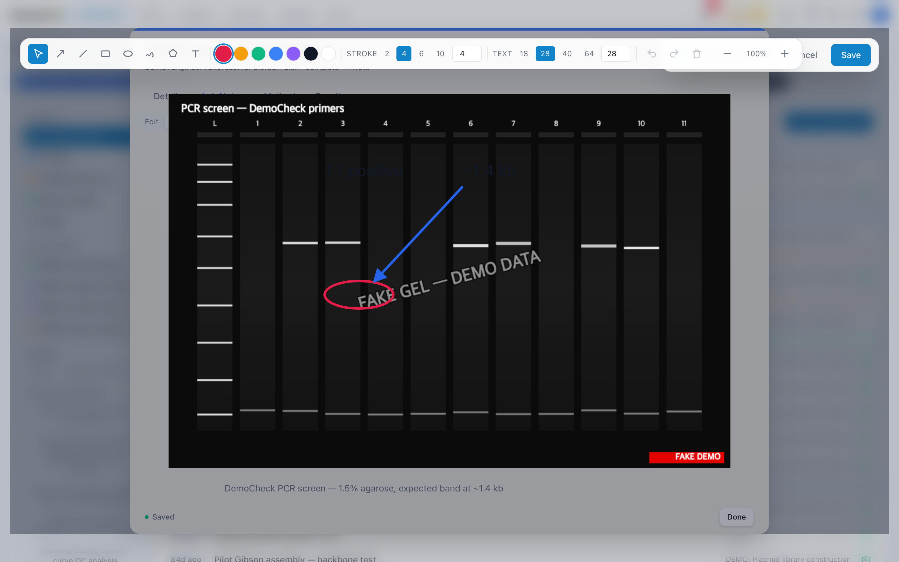 The full-screen annotation editor open over a gel photo. A red ellipse circles one band, a blue arrow points to a feature, and three small text labels read 'Lane 1', 'Lane 2', and 'Lane 3' across the top of the gel.