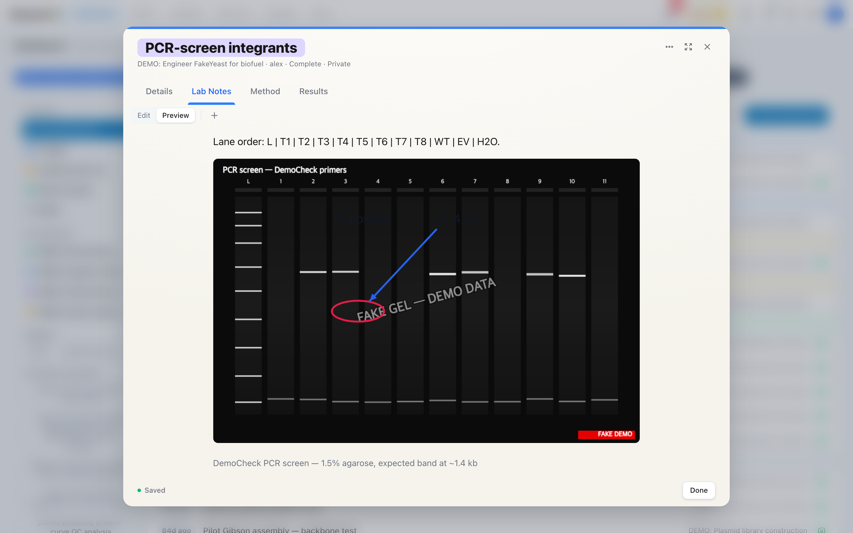 A note in preview mode showing the annotated gel inline, with the same ellipse, arrow, and lane labels rendered over the image at full figure width.