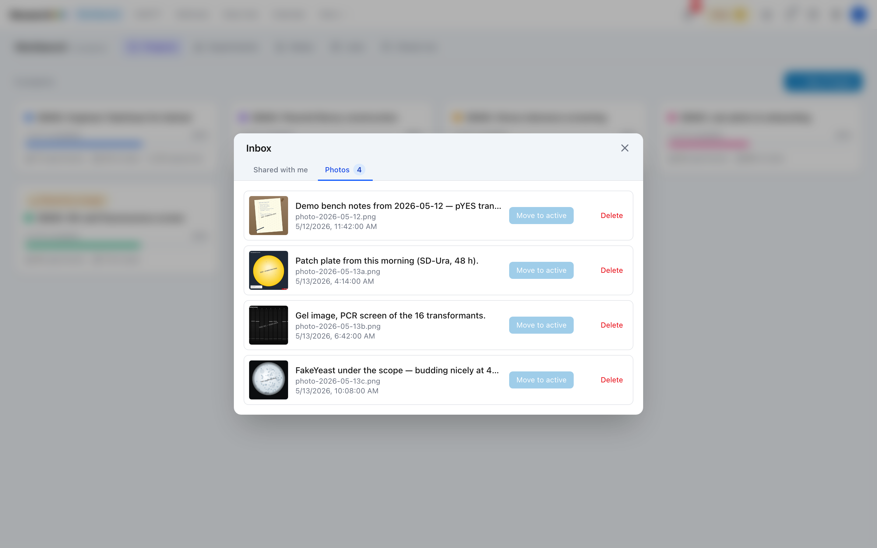 The Inbox modal showing waiting photos with thumbnails, captions, timestamps, and per-row Move and Delete buttons.