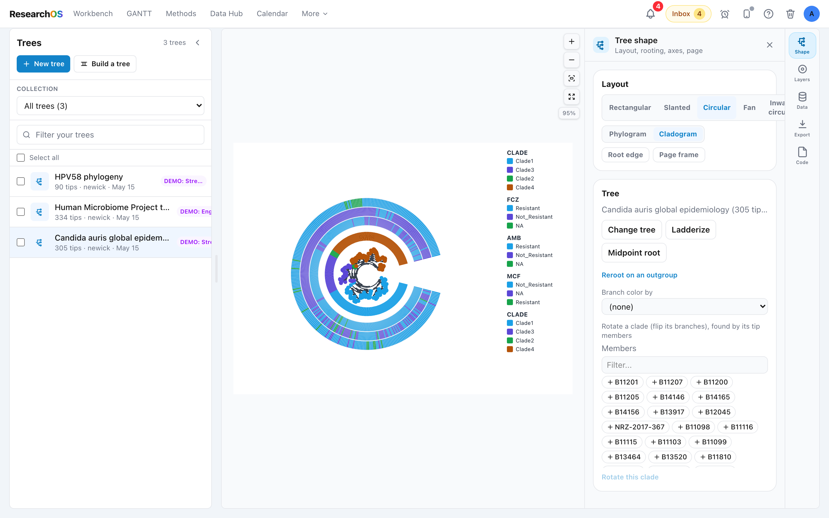 The right action rail of the Tree Studio with five tabs visible: Shape, Layers, Data, Export, and Code, with the Shape tab open showing layout options, a phylogram/cladogram toggle, and axis controls.