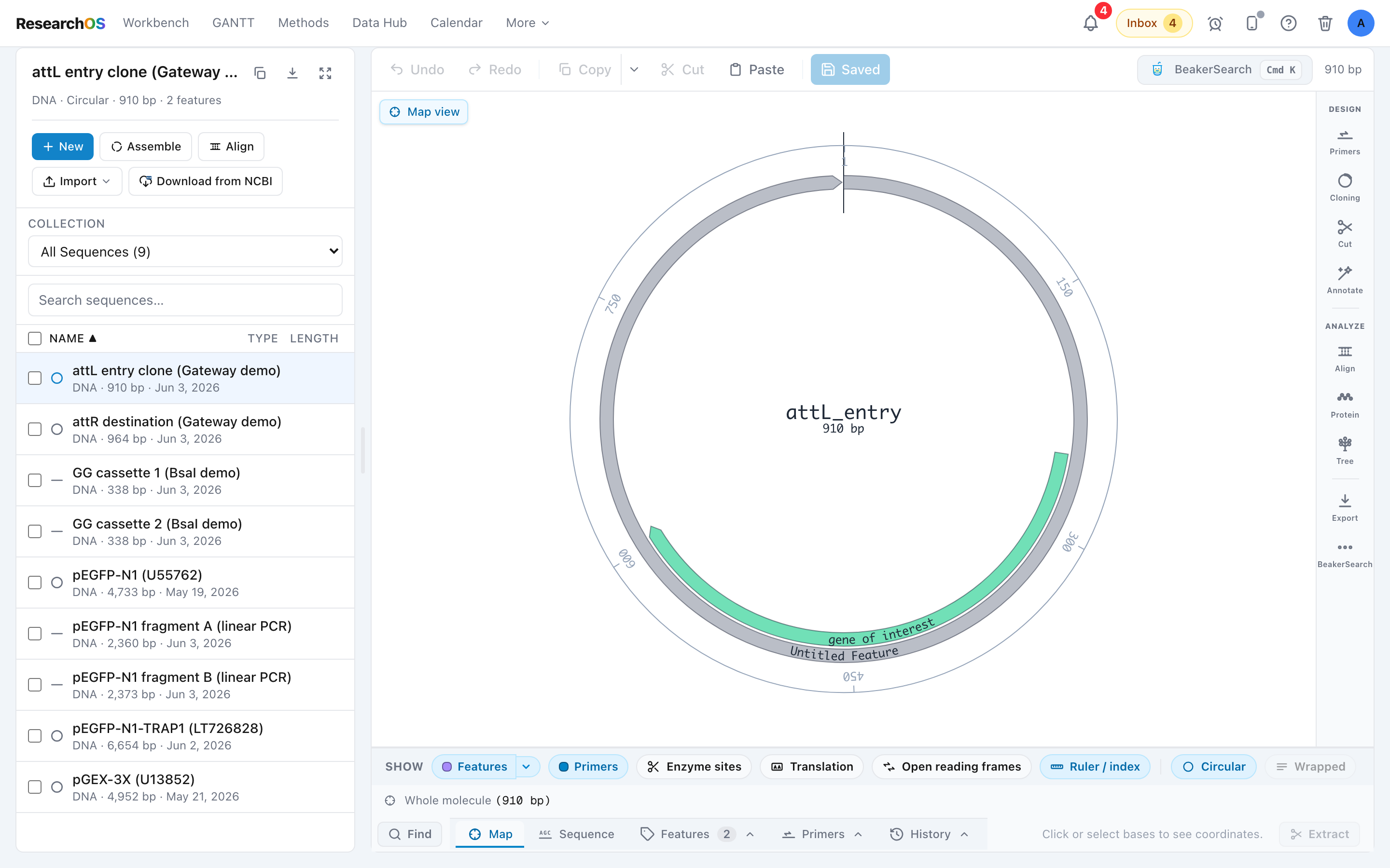 The Sequences workbench showing the library panel on the left and the editor surface on the right, with a circular plasmid map rendered in the main view area.